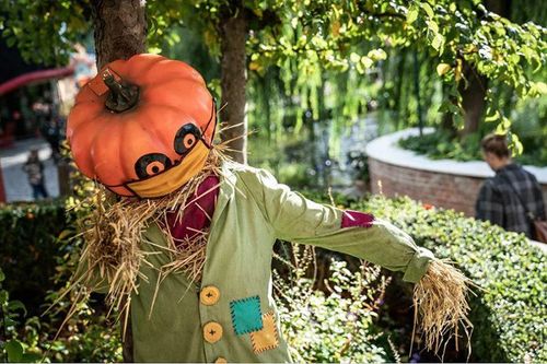 Không khí lễ hội Halloween toàn cầu: Hình nộm bí ngô cũng phải đeo khẩu trang!