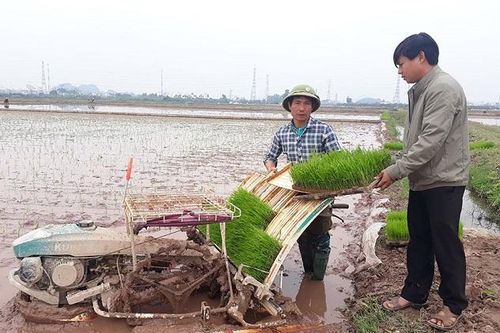 Ứng dụng cơ giới hóa trong nông nghiệp: Giảm chi phí, tăng lợi nhuận