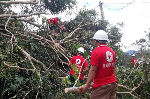 Cứu trợ khẩn cấp các gia đình bị thiệt hại bởi bão số 9 và mưa lũ