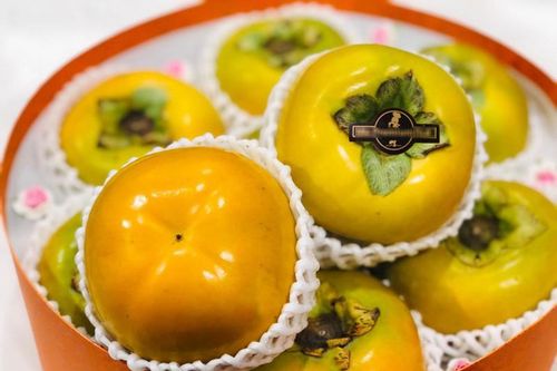 Ngon ngang nhau: Hồng Nhật 500 ngàn/quả... hồng mật Vân Sơn 40 ngàn/kg