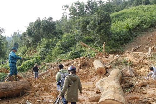 Vụ sạt lở đất ở Trà Leng: Nghẹn ngào lời kể của những người thoát nạn