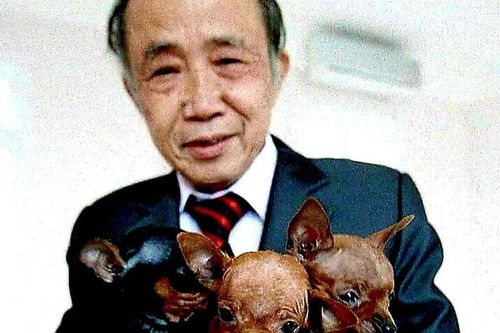 U90 Nguyễn Bảo Sinh: Thi sĩ khỏe dai nhất làng văn chương?