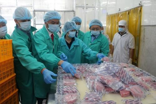 Việt Nam nỗ lực khắc phục 'thẻ vàng' IUU của EC