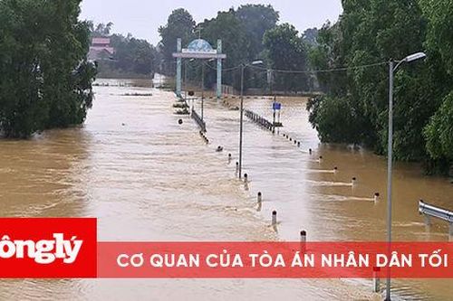 Chở cháu qua đường ngập lụt, chú được cứu còn hai cháu mất tích