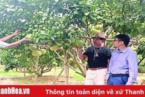 Huyện Hà Trung nâng cao hiệu quả hoạt động của đội ngũ báo cáo viên, tuyên truyền viên