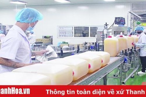 Tích cực cải thiện môi trường đầu tư kinh doanh - nâng cao năng lực cạnh tranh