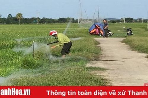 Ngăn chặn tình trạng săn bắt chim hoang dã