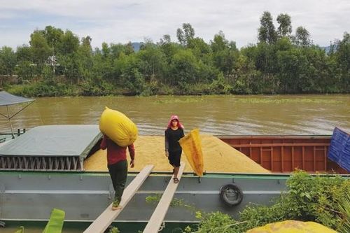 Tri Tôn tập trung vào tăng trưởng nông nghiệp