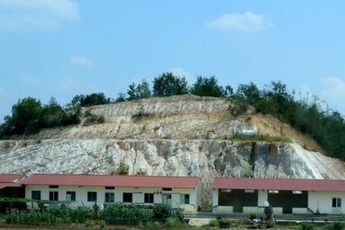 Phạt doanh nghiệp 210 triệu đồng do chiếm đất rừng xây nhà xưởng