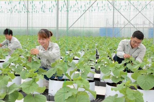 Tổ chức các hội thảo chuyên đề về khởi nghiệp nông nghiệp sáng tạo
