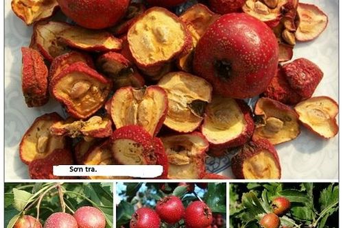 Bài thuốc Đông y ngừa tăng cân
