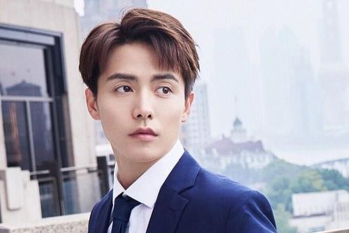 Mã Thiên Vũ được hơn 30 vệ sĩ bảo vệ tại sự kiện?