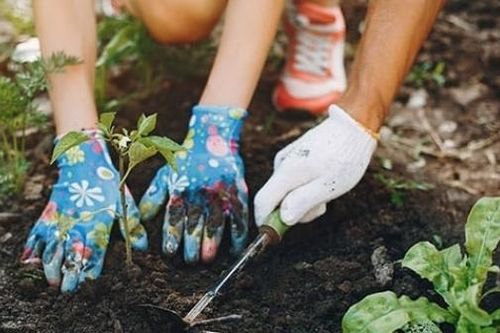 Tìm hiểu về Phân bón NPK 13-13-19 +TE