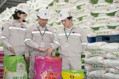 Phân bón Cà Mau: Cứng cáp, vững vàng hơn sau 'bão kép'