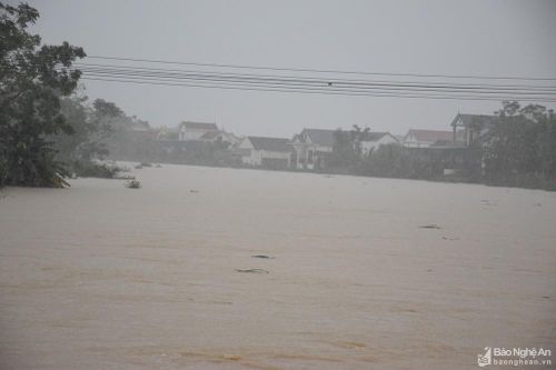 Vẫn còn hơn 5.500 hộ dân ở Yên Thành bị ngập sâu trong nước lũ