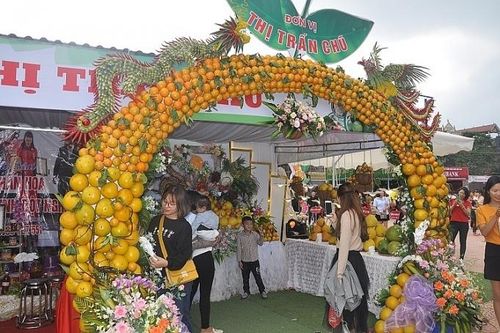 Đưa cam, bưởi và sản phẩm đặc trưng lên sàn giao dịch điện tử