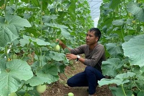 Ứng dụng khoa học công nghệ trong xây dựng nông thôn mới
