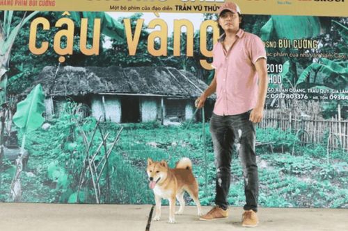 Đạo diễn phim Cậu Vàng xin lỗi công chúng sau vụ nhân viên chê khán giả nghèo hèn, ngu dốt