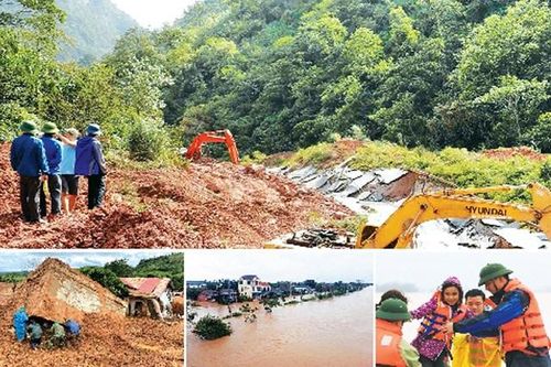 Bảo vệ những cánh rừng ngăn lũ