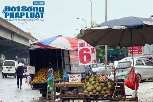 Bí mật bất ngờ phía sau những trái dừa xiêm 6 nghìn đồng