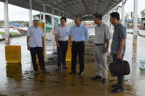 Chỉ một tàu vi phạm IUU cũng khó gỡ được 'thẻ vàng'