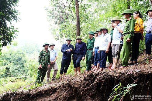 Lãnh đạo tỉnh kiểm tra tình hình sạt lở núi tại Con Cuông và Đô Lương