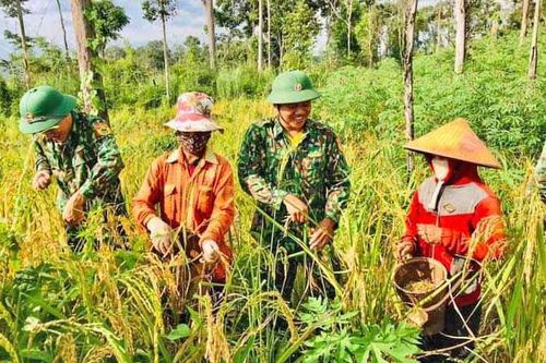 'Cột mốc sống' trên biên giới Gia Lai