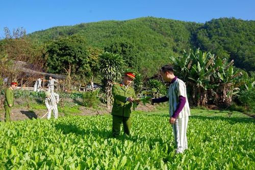 'Giáo hóa' những con người lầm lỗi