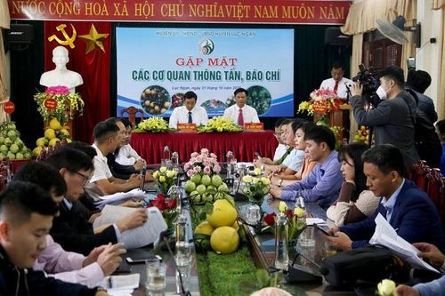 Bắc Giang: Sắp khai trương sàn giao dịch thương mại điện tử các loại trái cây tại huyện Lục Ngạn
