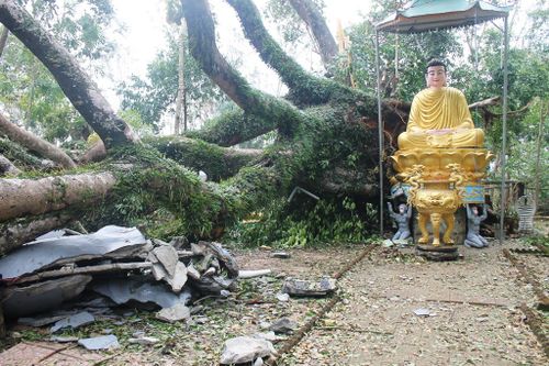Quảng Ngãi : Xót xa cảnh chùa Thiên Ấn sau cơn bão số 9