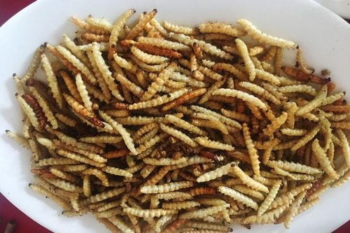 Độc đáo phong vị ẩm thực vùng cao Lai Châu