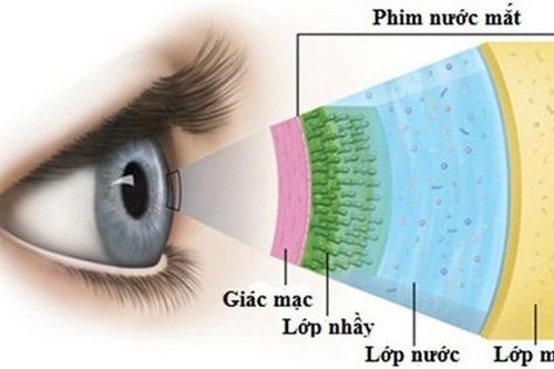 Khô mắt và cách khắc phục