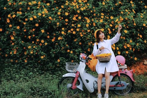 Giới trẻ check-in mùa hoa dã quỳ ở Đà Lạt