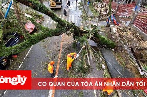 Siêu bão Goni đổ bộ, 'hoành hành' Philippines, 10 người thiệt mạng