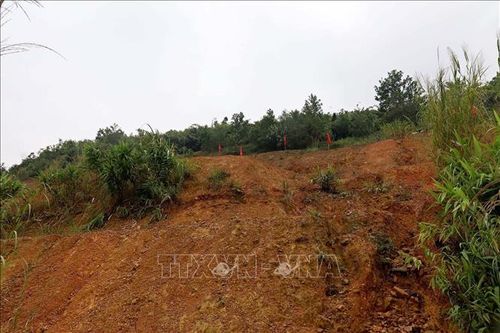 Hòa Bình: Khẩn trương xử lý sạt lở đất đồi, di dời 24 hộ dân xóm Rổng Vòng