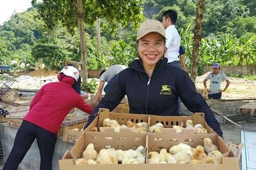 Mavin công bố gói hỗ trợ sinh kế 2 tỷ đồng cho đồng bào miền Trung