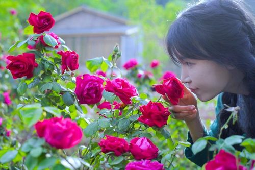 'Tiên nữ đồng quê' Lý Tử Thất chia sẻ tiêu chí đơn giản để chọn người bạn đời