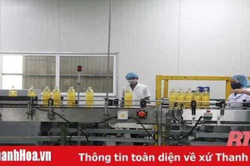 Tác động của dịch COVID-19 đến hoạt động sản xuất kinh doanh của doanh nghiệp trên địa bàn tỉnh Thanh Hóa