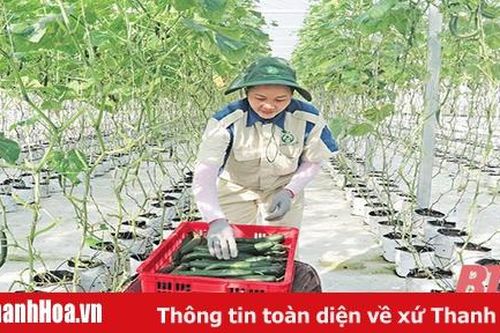 Để ngành nông nghiệp phát triển an toàn