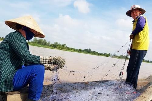 Kiểm tra việc đánh bắt thủy sản sau lễ thả cá trên sông Vàm Nao