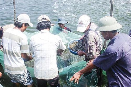 Chuyển biến tích cực trong đào tạo nghề, giải quyết việc làm cho người lao động