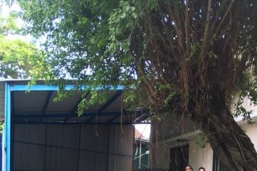 Bình Định: Doanh nghiệp tư nhân Hiền Hòa xâm phạm nhãn hiệu đã đăng ký bảo hộ