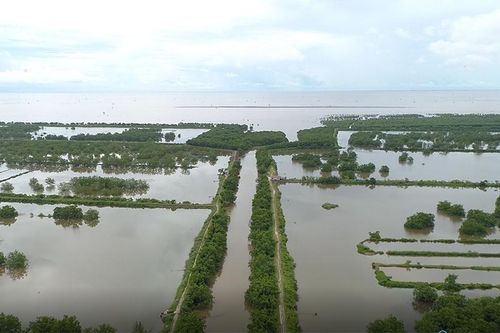 Gần 400ha đất bỏ quên ở Hải Phòng: Cơ quan chức năng loay hoay 10 năm chưa xong