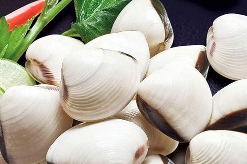Bí quyết chọn ngao tươi và làm sạch cát cực hiệu quả