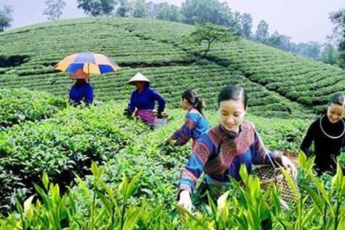 Thêm vững chắc khối đại đoàn kết
