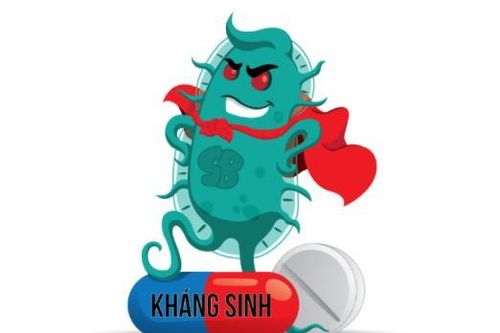 Nghiên cứu thành công hoạt chất kháng vi khuẩn kháng thuốc
