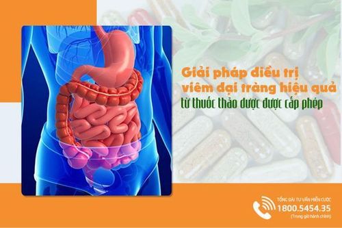 Thuốc thảo dược trị viêm đại tràng, ngăn ngừa tái phát hiệu quả
