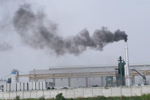 Bảo vệ môi trường luôn là vấn đề cấp bách