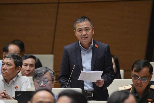 'Chúng ta hô hào trồng rừng mới nhưng vẫn cho dự án khởi công ngay trong lõi rừng'