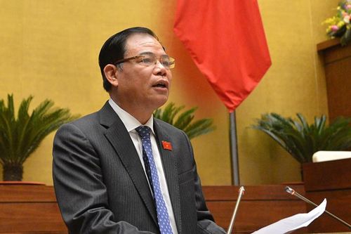 Hệ số che phủ rừng của Việt Nam đạt 42%, cao hơn mức bình quân của thế giới